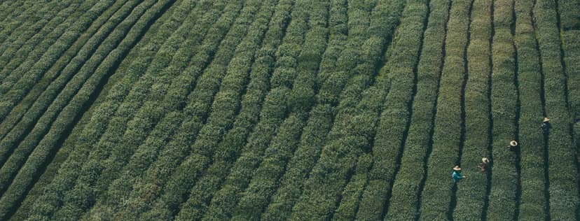 Unauth title ZUgkJvxC